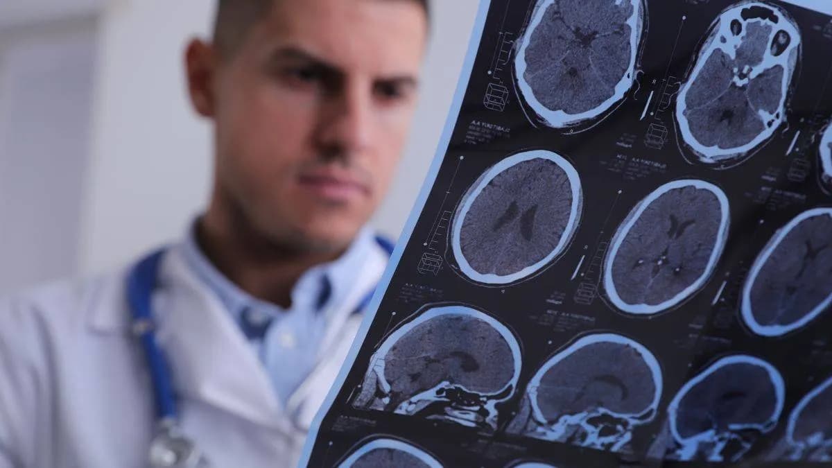 Ganglio linfático artificial impreso en 3D mejora la tolerancia inmunitaria en ratones