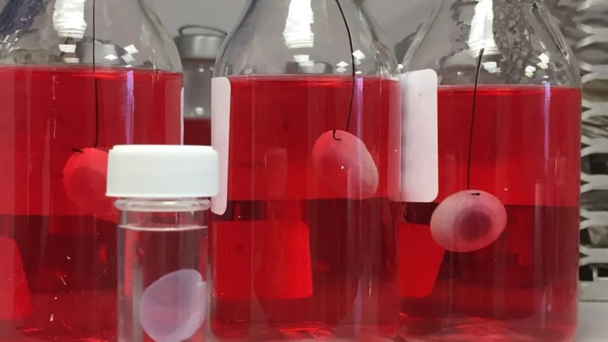 La bioimpresión de córneas avanza hacia la práctica clínica